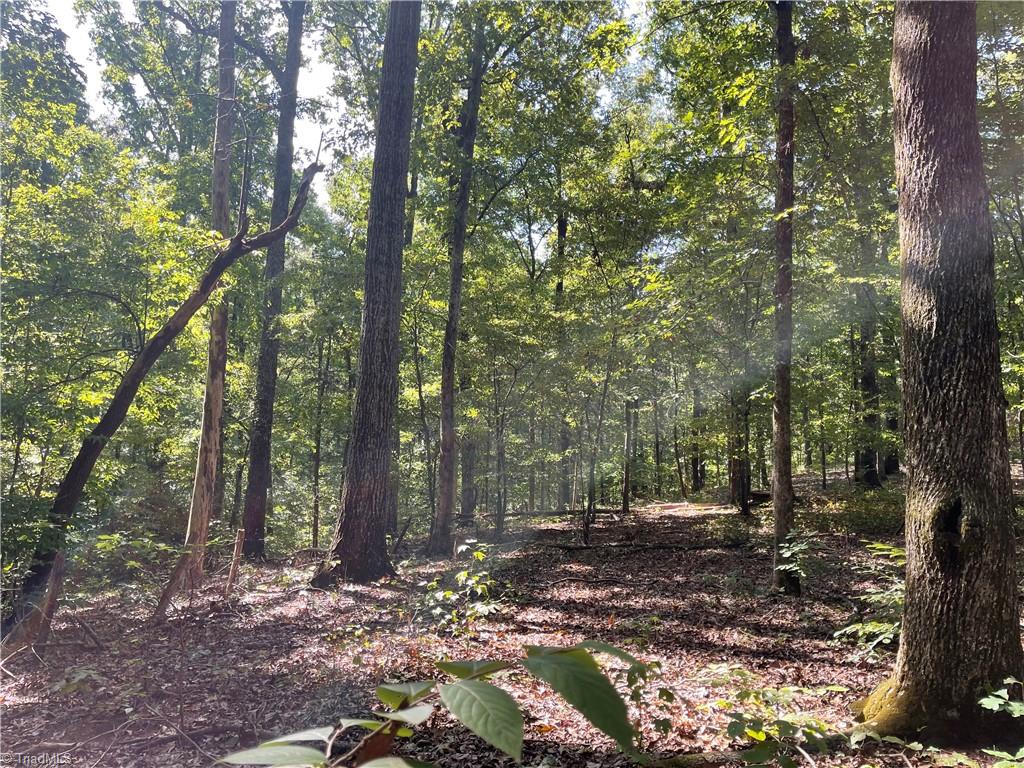 4736 S Main Street Property Photo 10