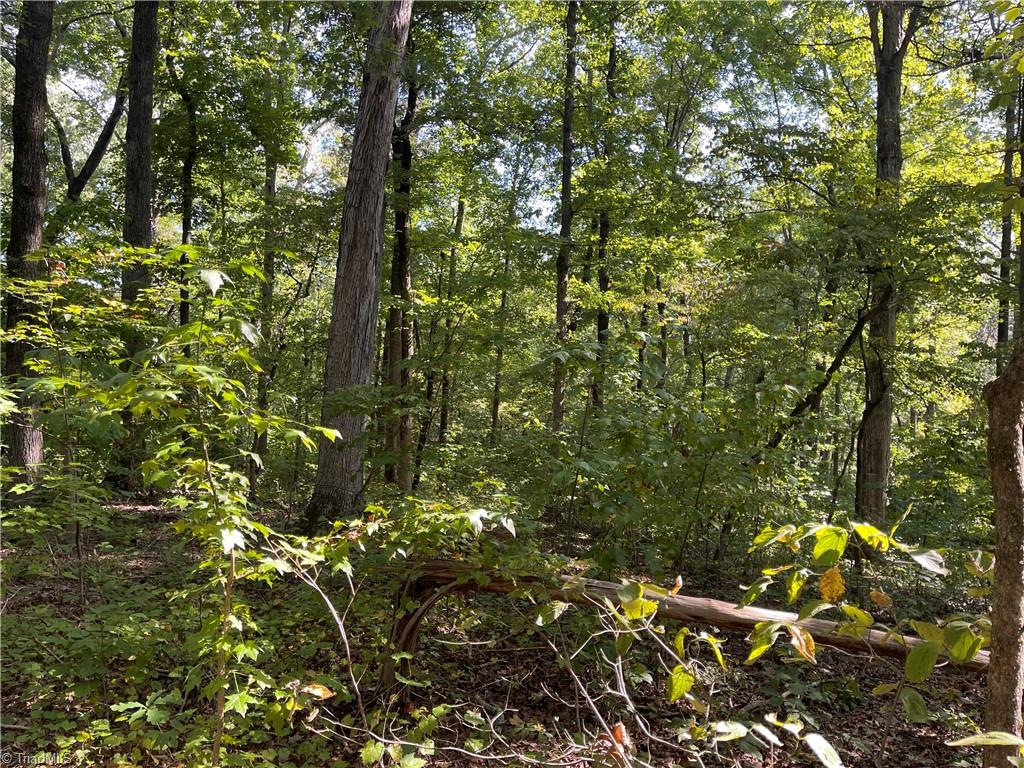 4736 S Main Street Property Photo 11