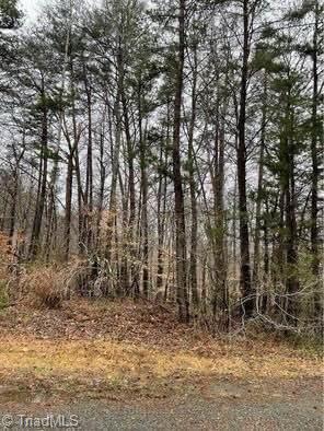 4560 Mecum Road Property Photo 6