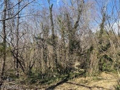 4560 Mecum Road Property Photo 9