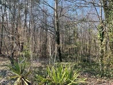 4560 Mecum Road Property Photo 10
