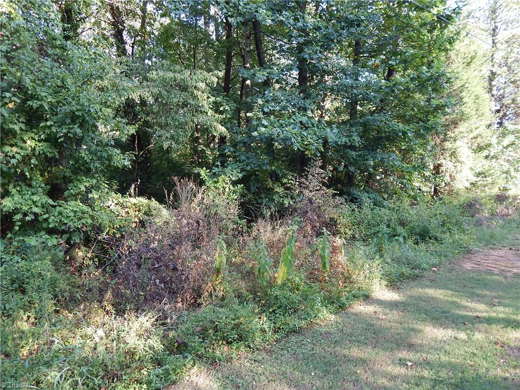 0000 Leslie Drive Property Photo 2