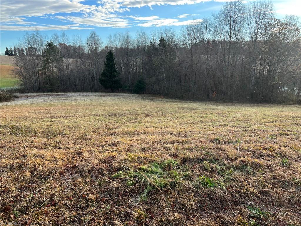 1013 Ridgeway Drive Property Photo 1