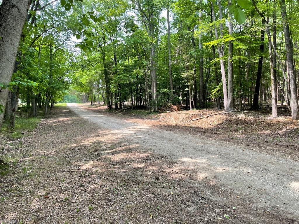 1.3 Acres Off Kelly Brewer Road Property Photo
