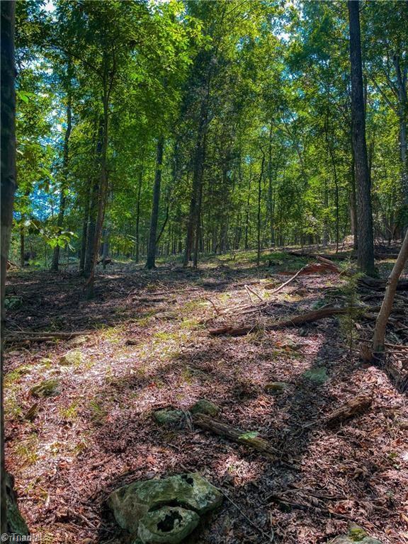 999 Rocky Cove Lane Property Photo 5