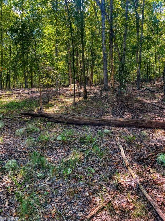 999 Rocky Cove Lane Property Photo 7