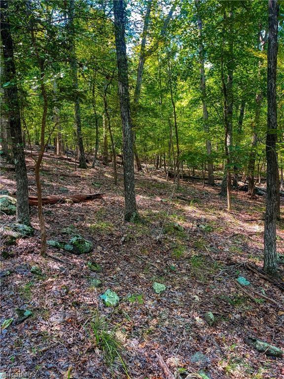 999 Rocky Cove Lane Property Photo 8