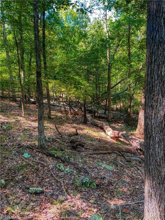 999 Rocky Cove Lane Property Photo 9