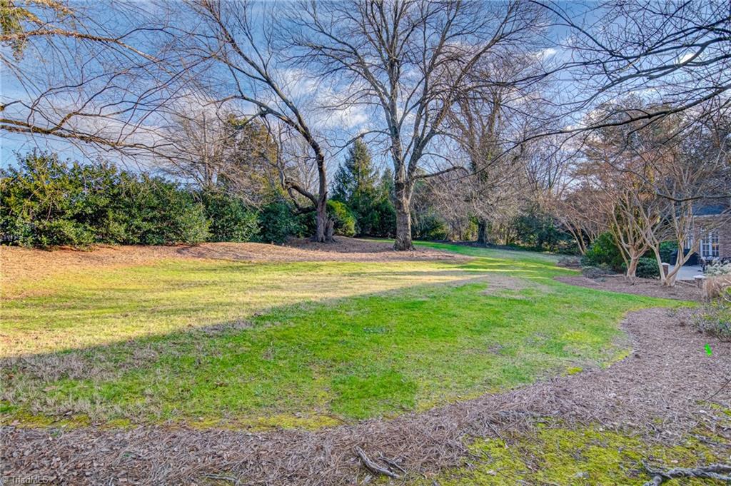 1021 Kent Mews Court Property Photo 47