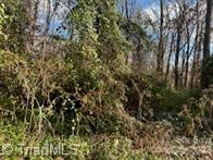 Tbd Miller Avenue Property Photo 2