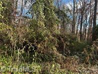 Tbd Miller Avenue Property Photo 5