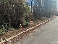 Tbd Miller Avenue Property Photo 7