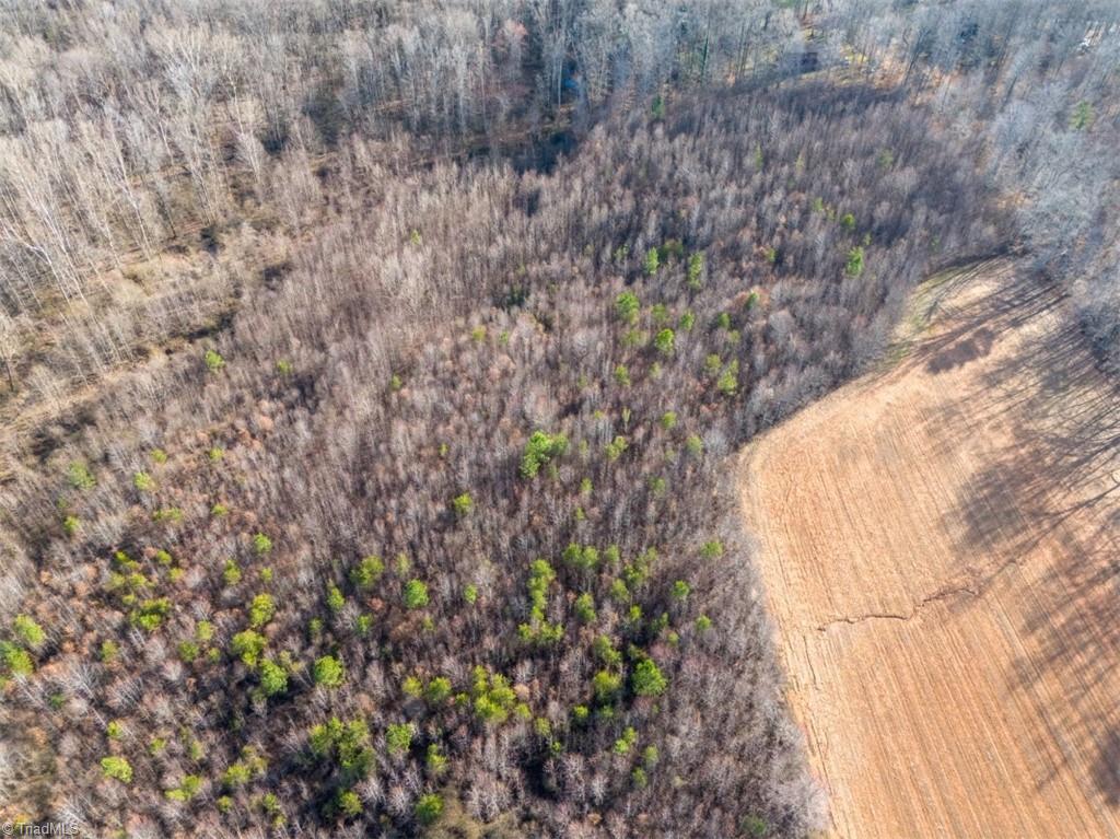 0 Sells Farm Road Property Photo 11
