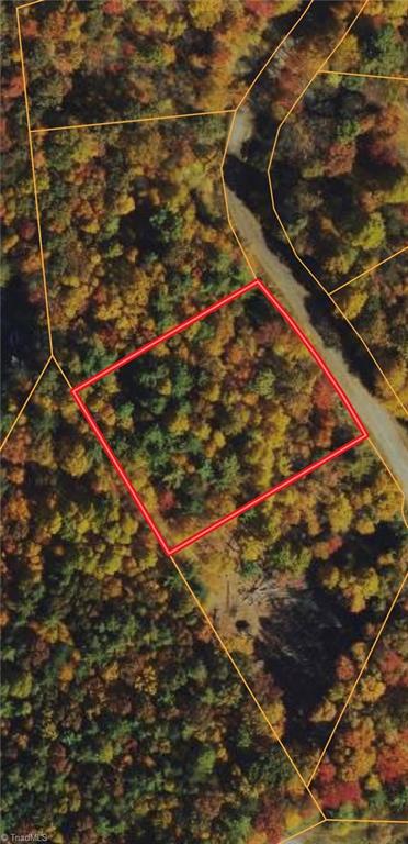 1.013 Ac On Free Bird Off Birch Trail Property Photo