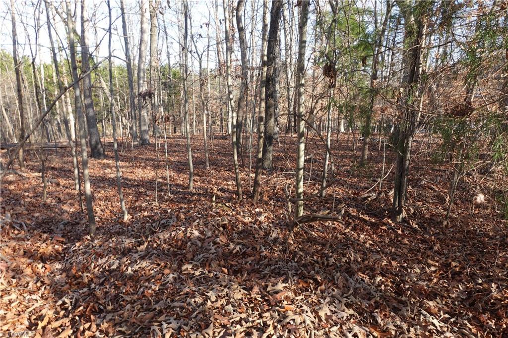 5206 Postbridge Drive Property Photo 1
