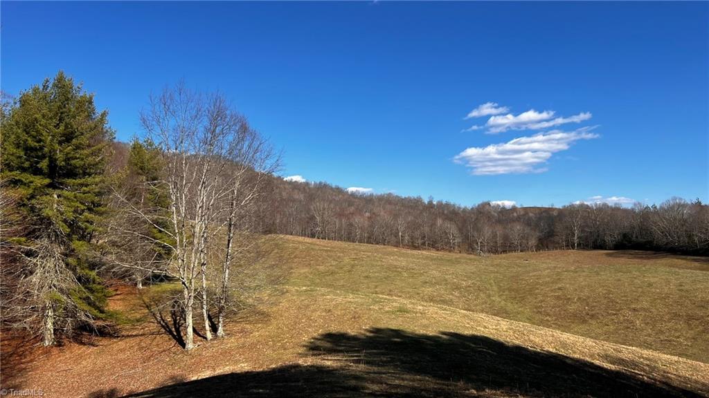 1266 Flatwoods School Road Property Photo
