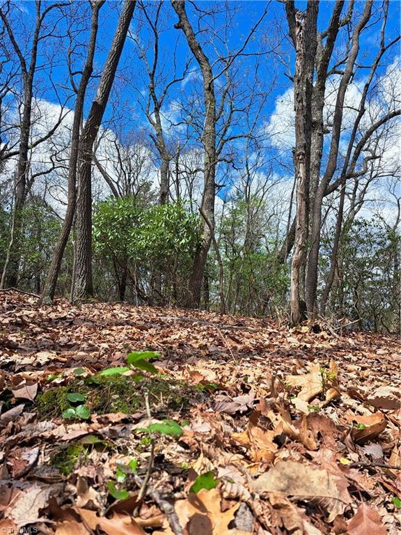 Tbd Mountain View Drive Property Photo