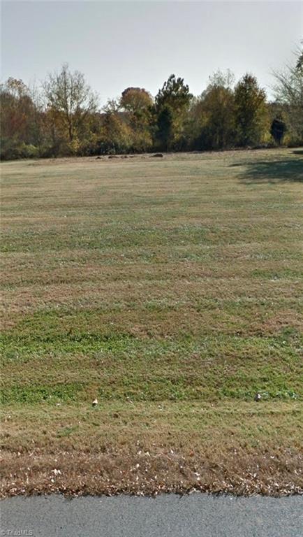 0 (Vacant Lot# 38) Swain Lane Property Photo 1