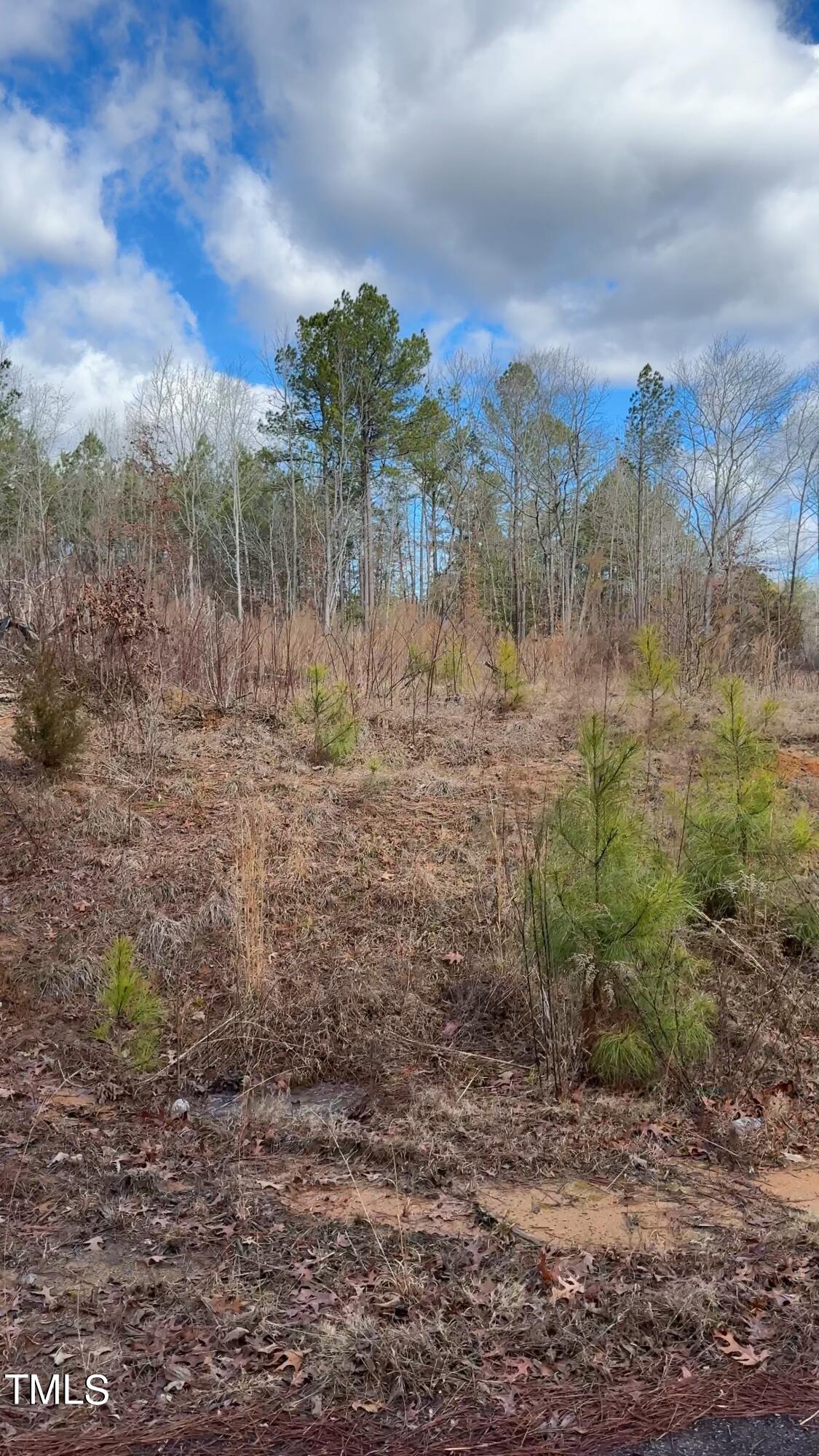 Lot 25 Will Woods Way Property Photo
