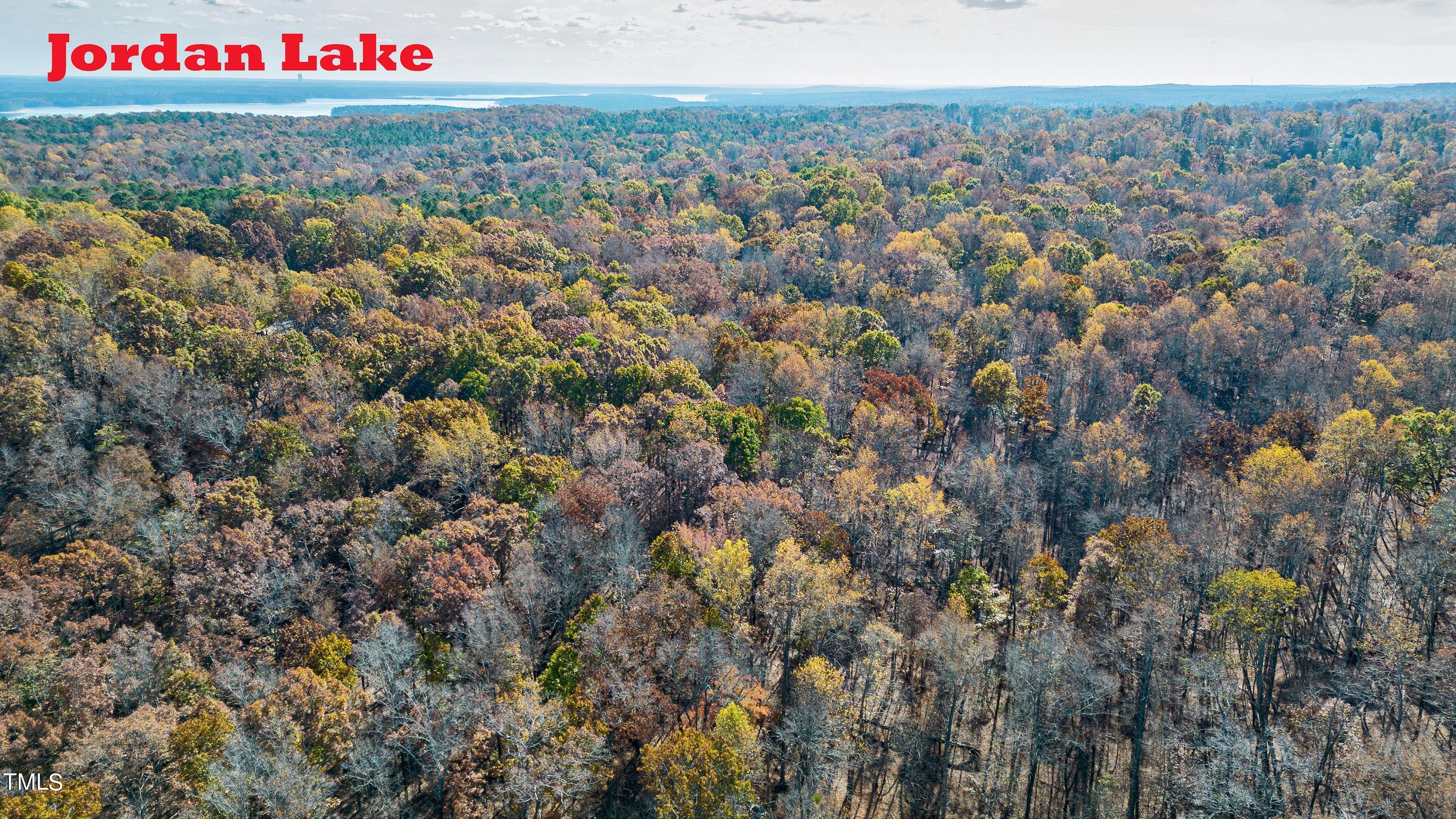 Tbd Beaver Dam Road Property Photo 1