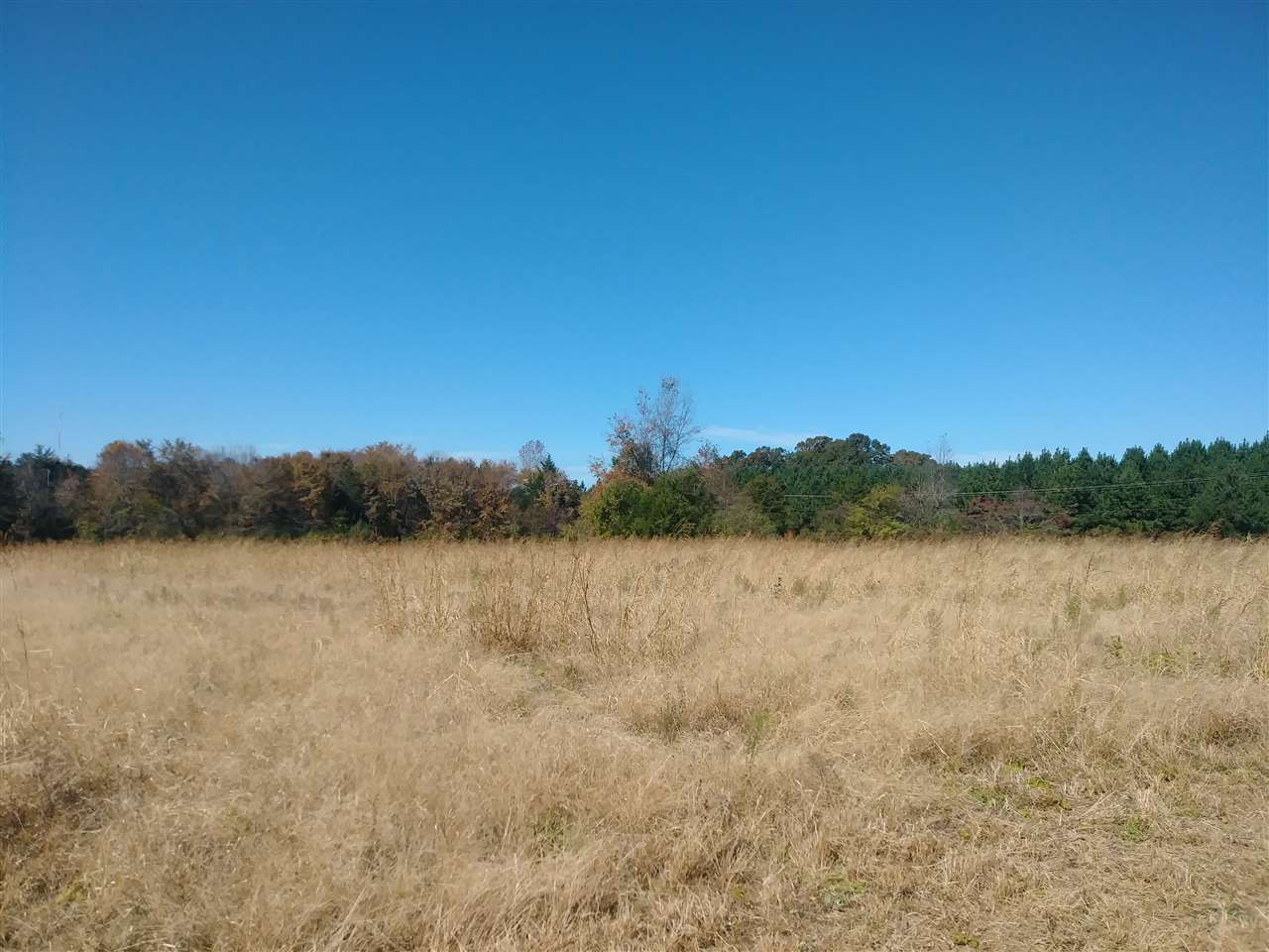 Lot 4 Saxapahaw Bethlehem Church Road Property Photo 1