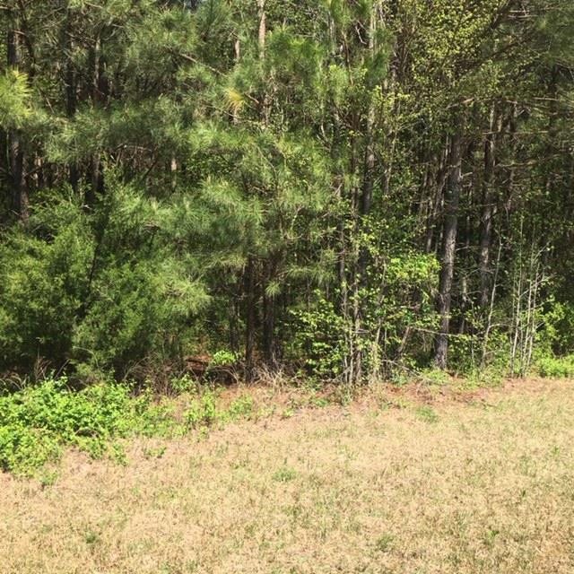 307 & 319 Wilson Fuller Road Property Photo 1