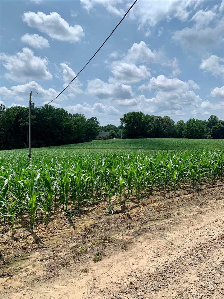 10.4 Acres Elliott Road Property Photo 1