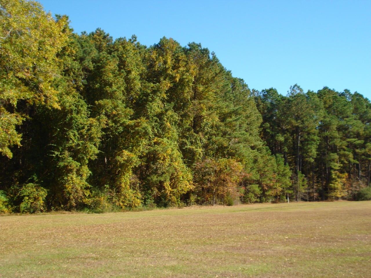 0 Us 13 Highway Property Photo 1