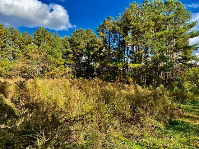 Club Pond Road Property Photo 1