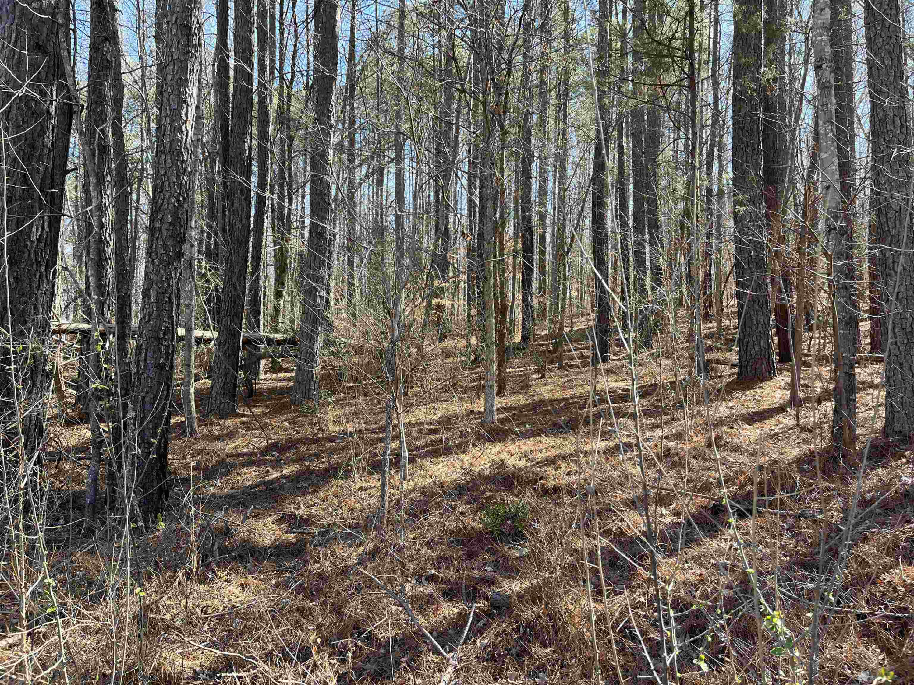 318 Jones Ferry Road Property Photo 1