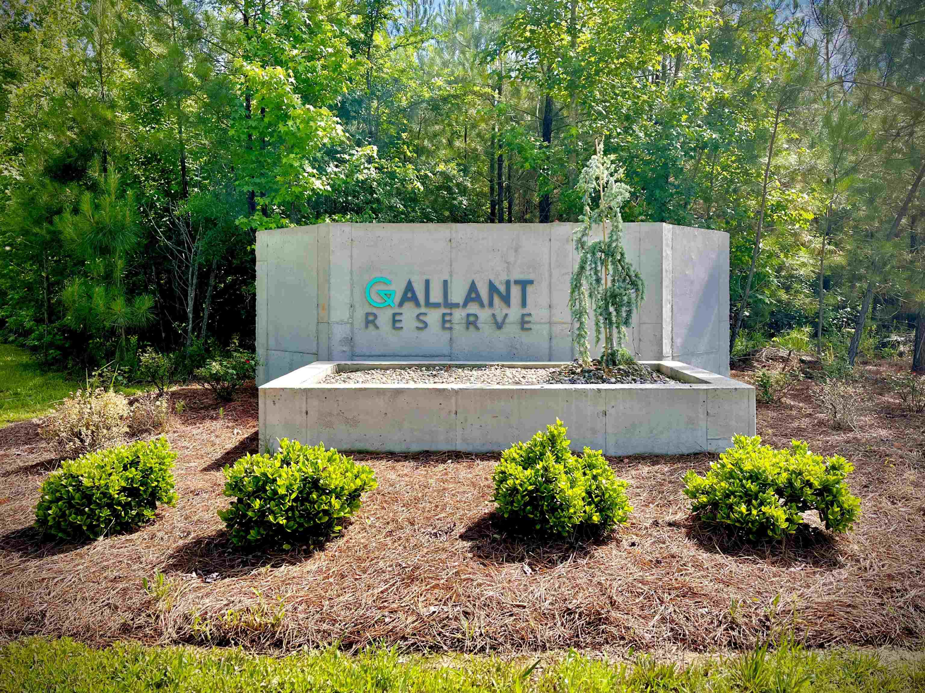 Gallant Reserve Real Estate Listings Main Image