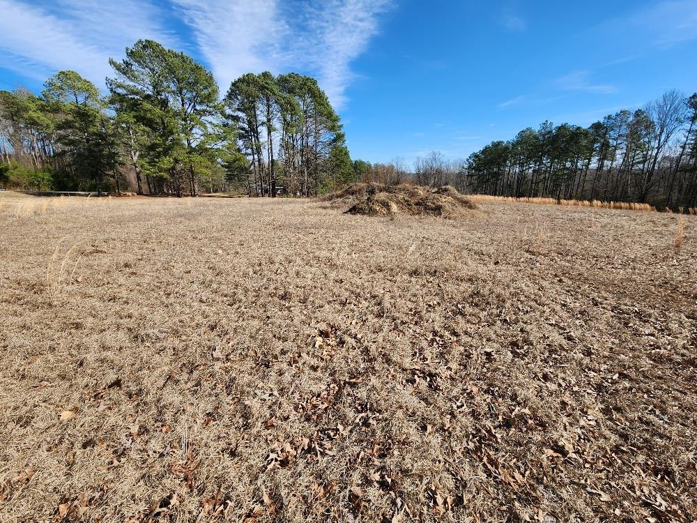 19348 Nc 210 Highway Property Photo 1