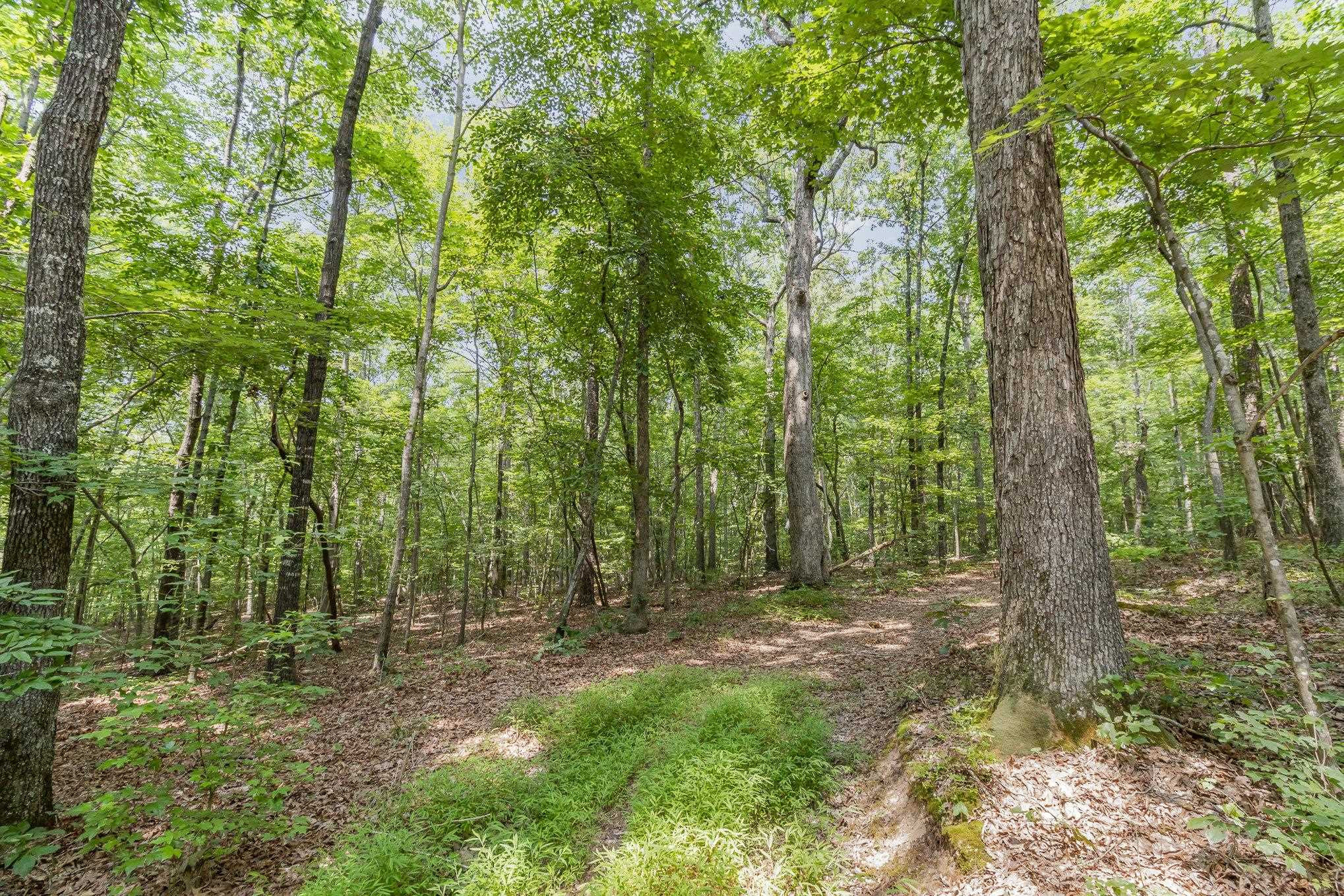 01 Bartley Holleman Road Property Photo