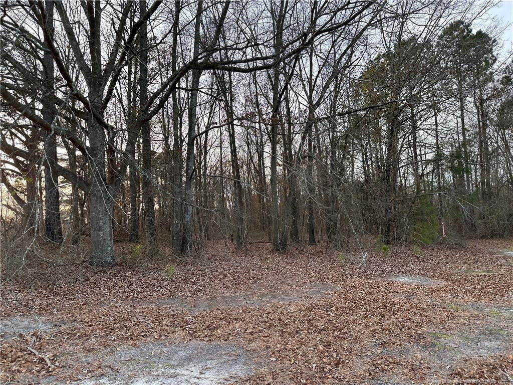 Lot 1 Midway Road Property Photo