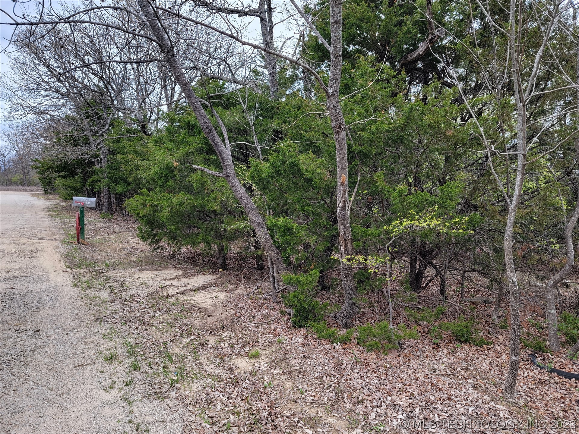 Brown Bear Lane Property Photo