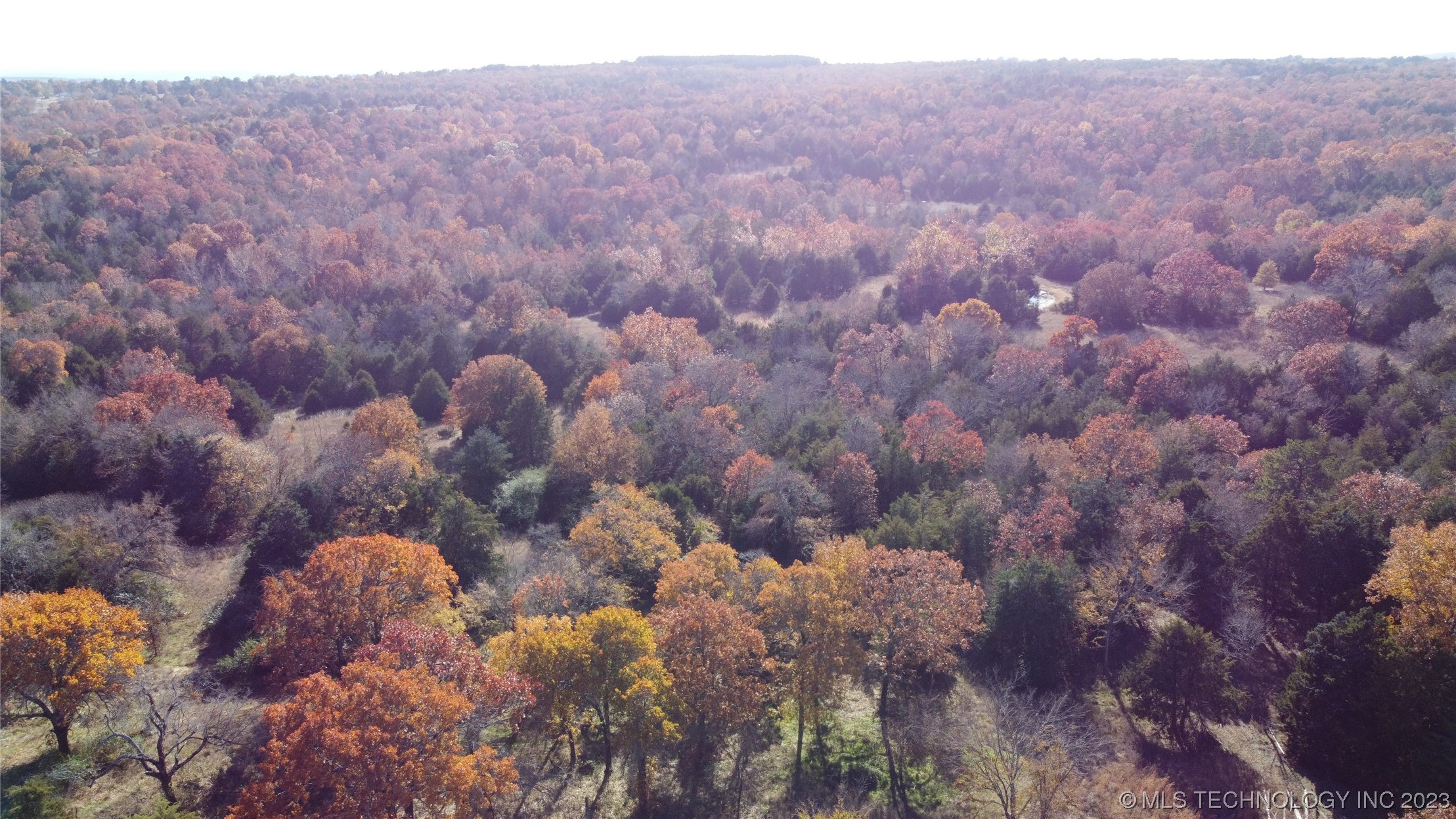 Beaver Mountain Road Property Photo