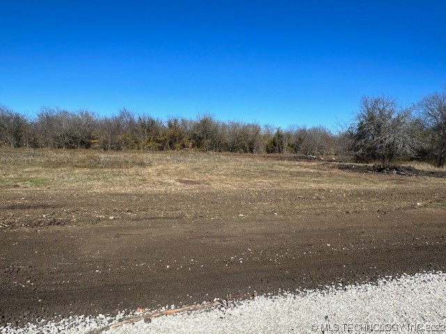 009 Lady Bug Property Photo