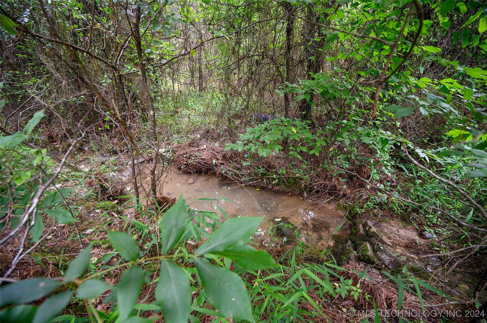 32 Cedar Tree Trail Property Photo 38