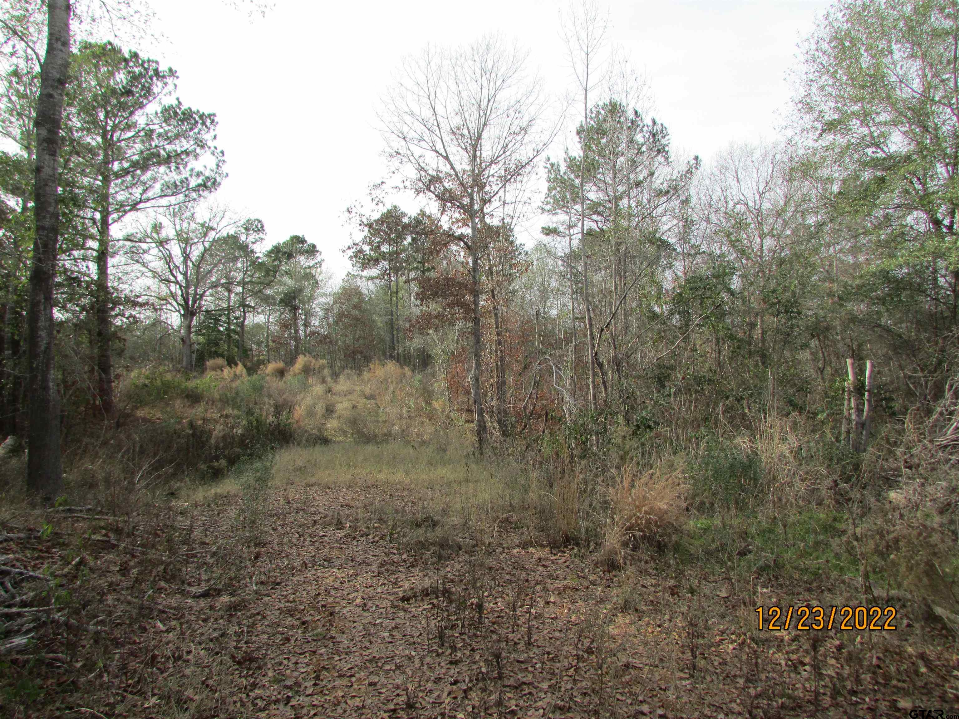 6090 Fm 314 Property Photo