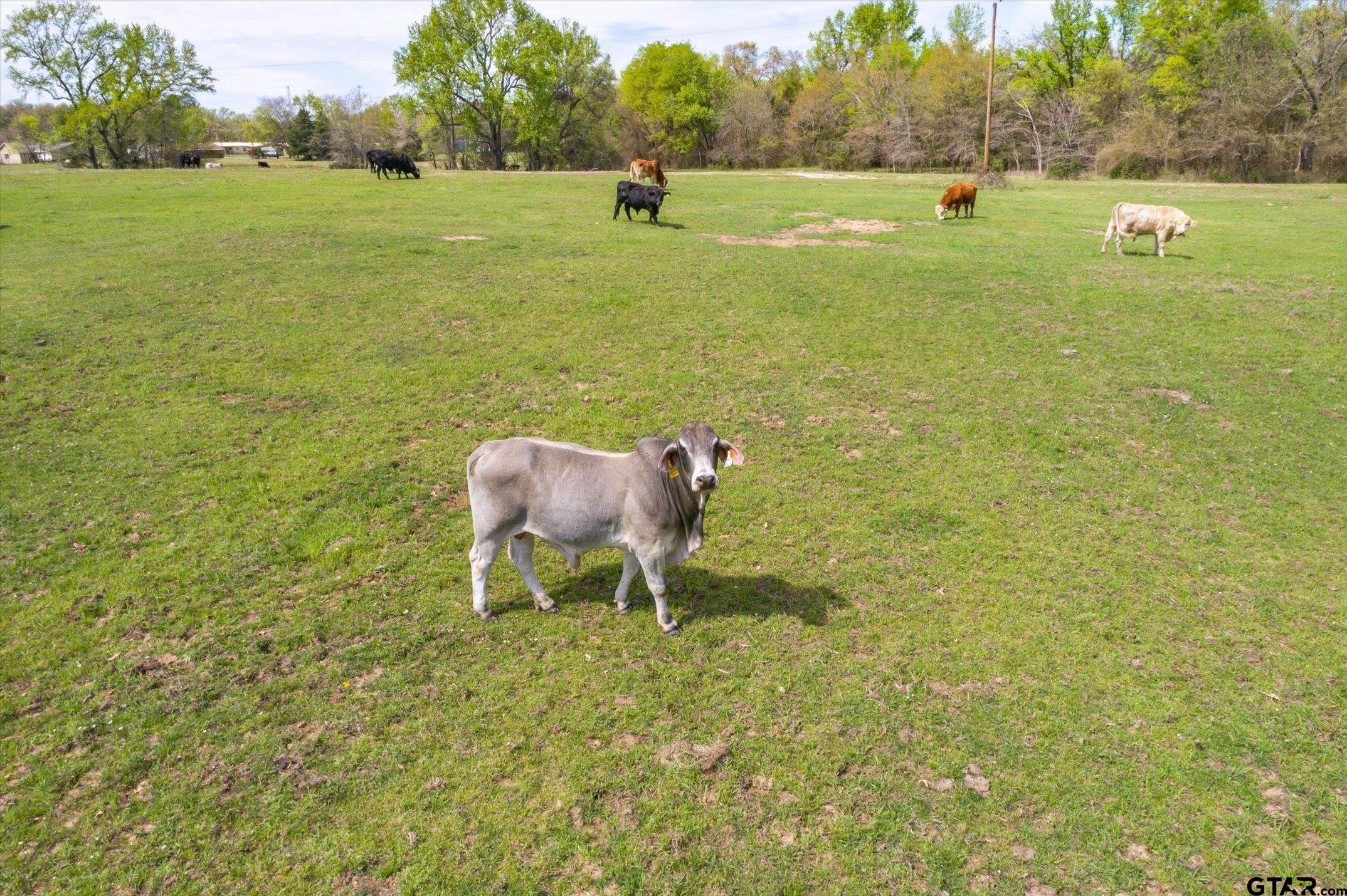 000 Oklahoma Street Property Photo 13