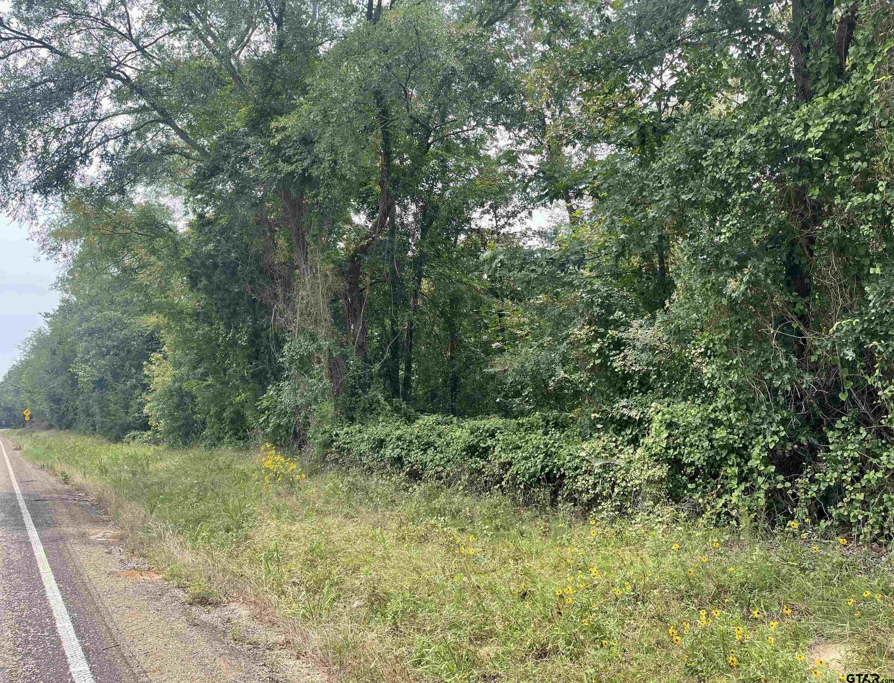 TBD FM 1519 Property Photo 1