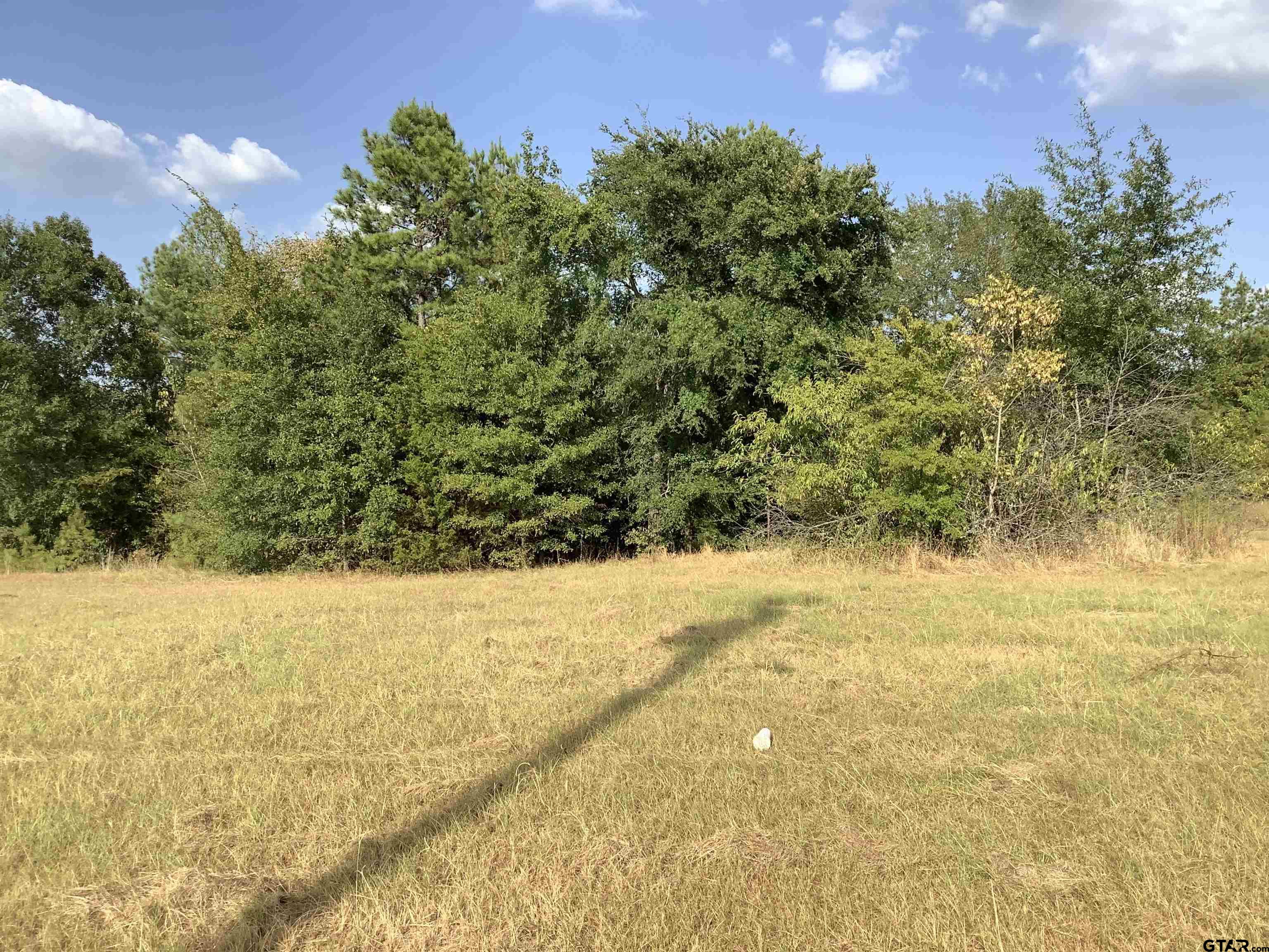 5664 Fm 757 Property Photo 6