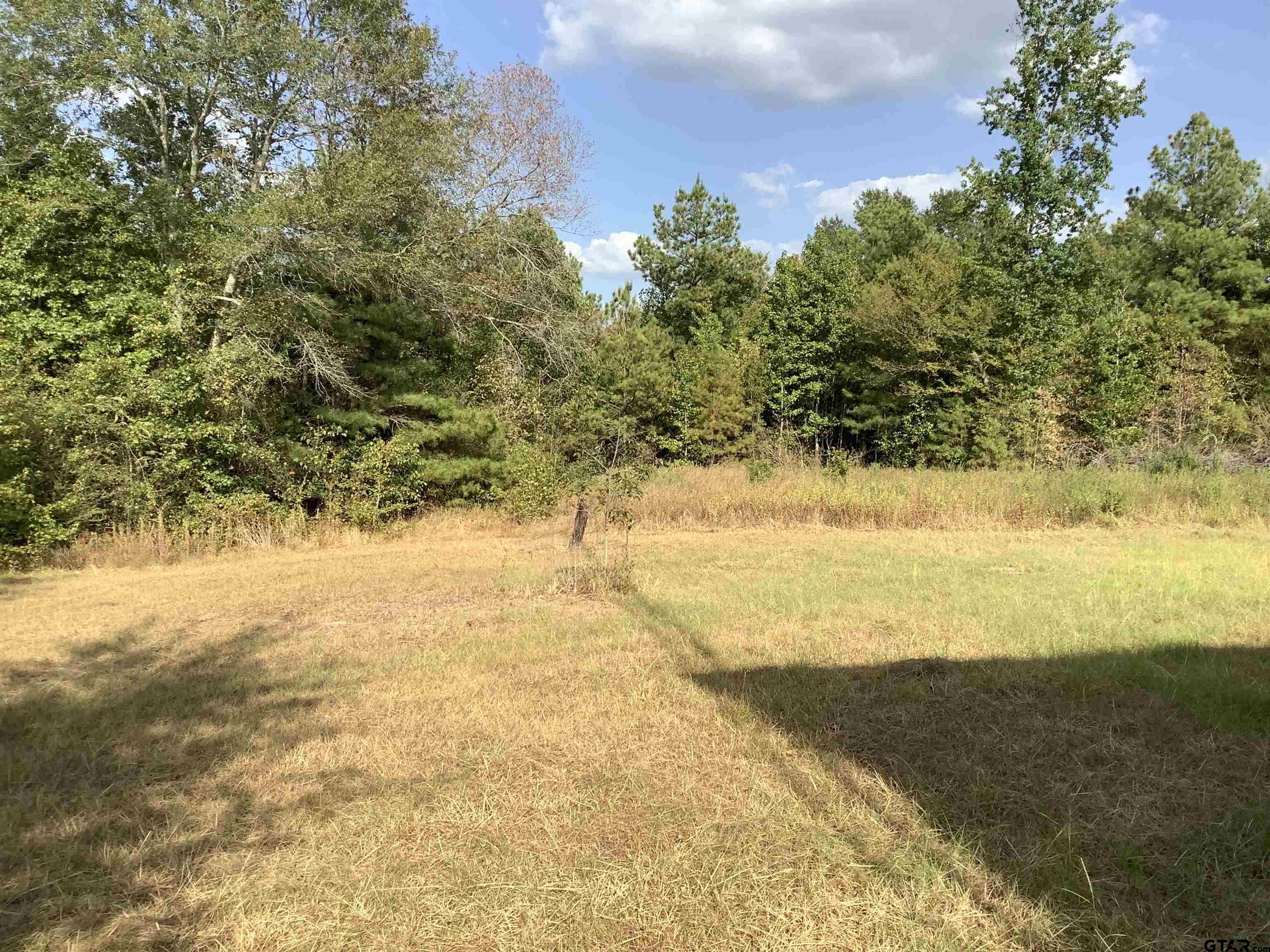 5664 Fm 757 Property Photo 8