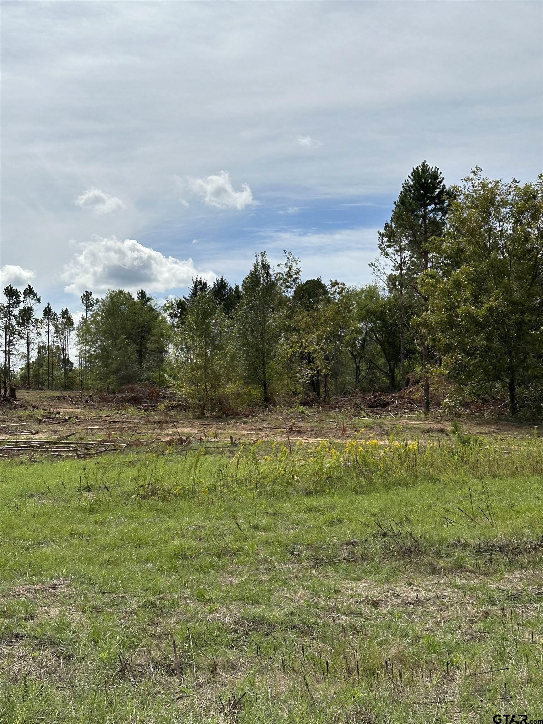 702 N Jarvis Property Photo 4