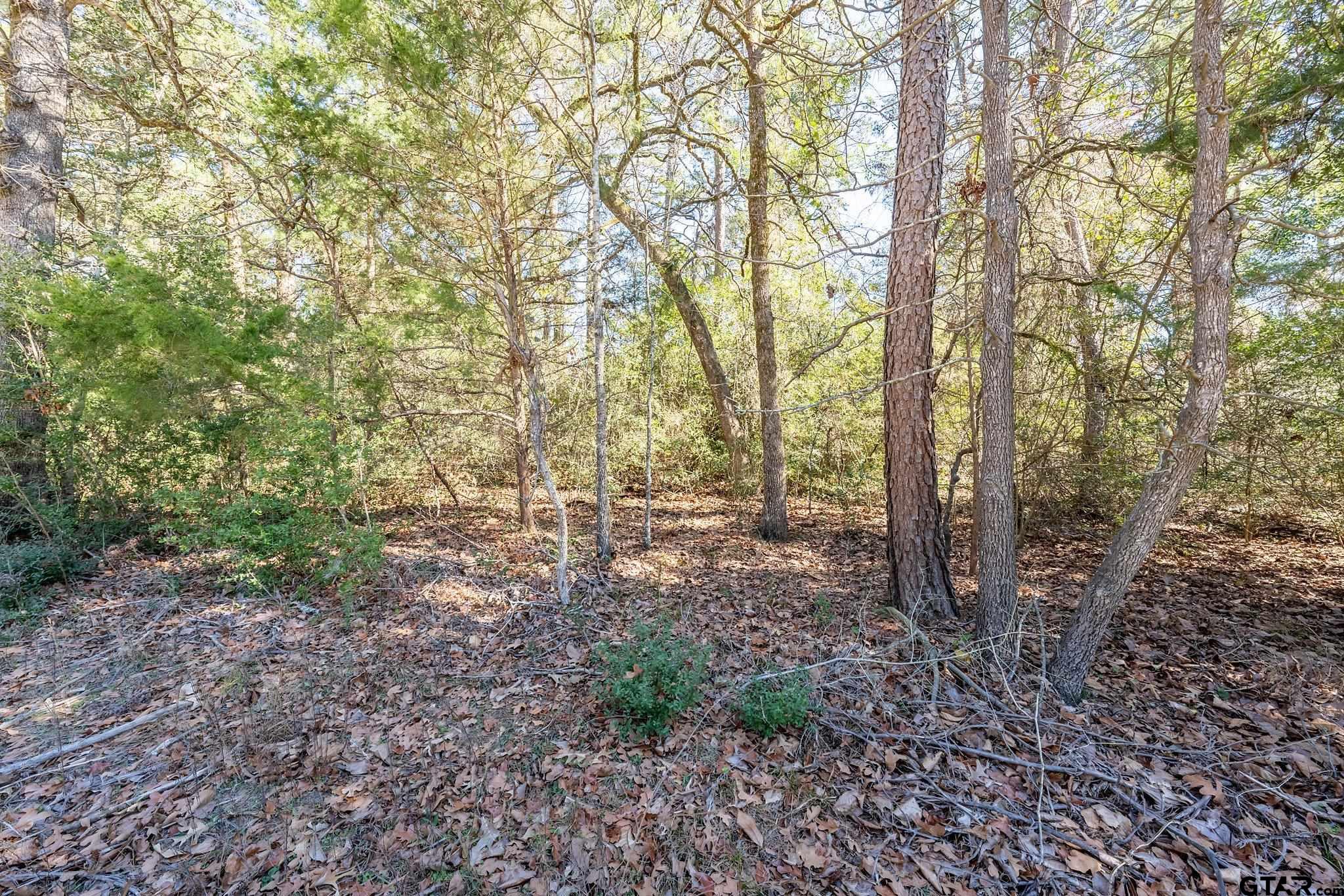 Lot 112 Peaceful Valley Trail Property Photo
