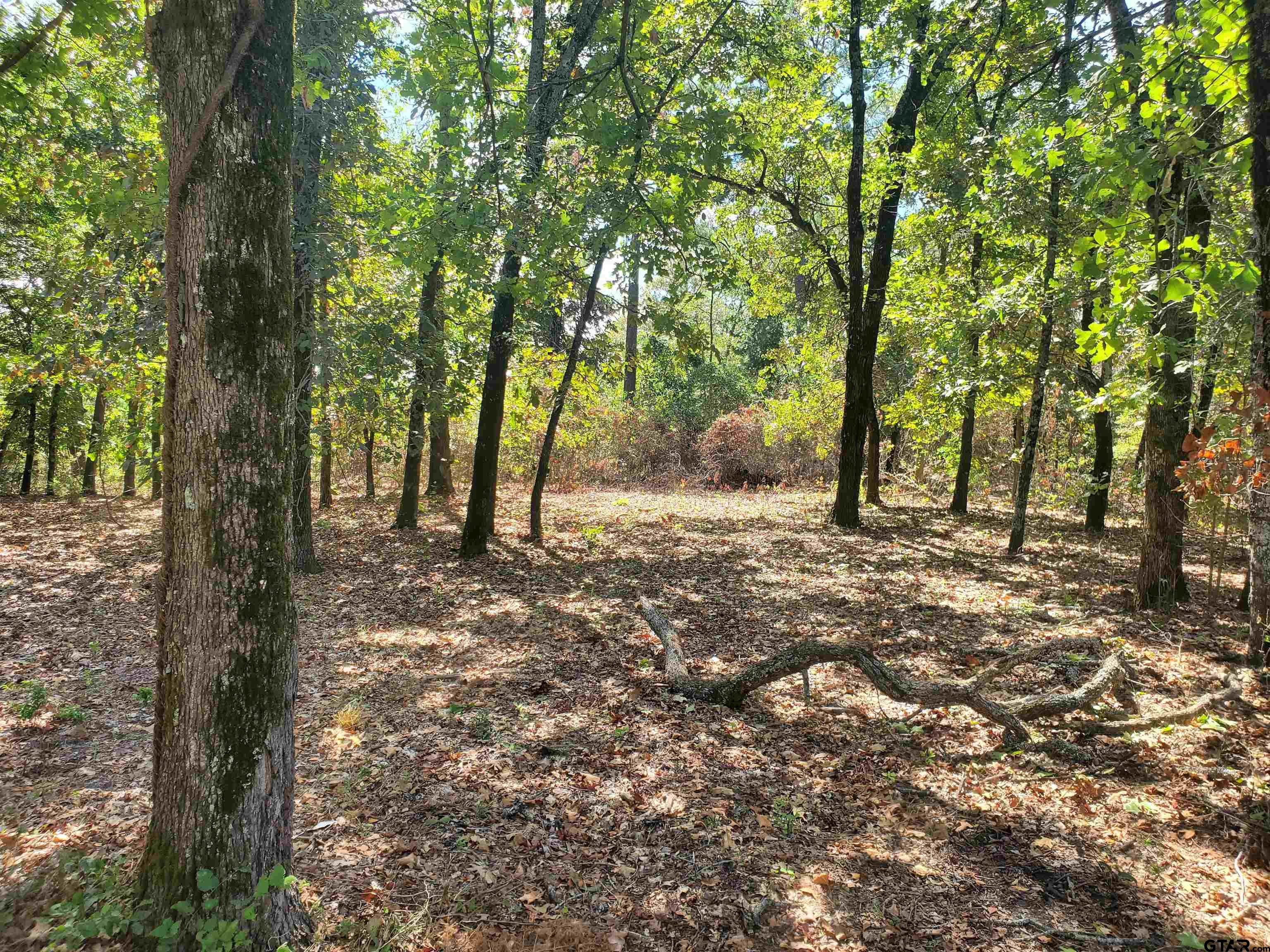 15160 County Road 1227 Property Photo 4
