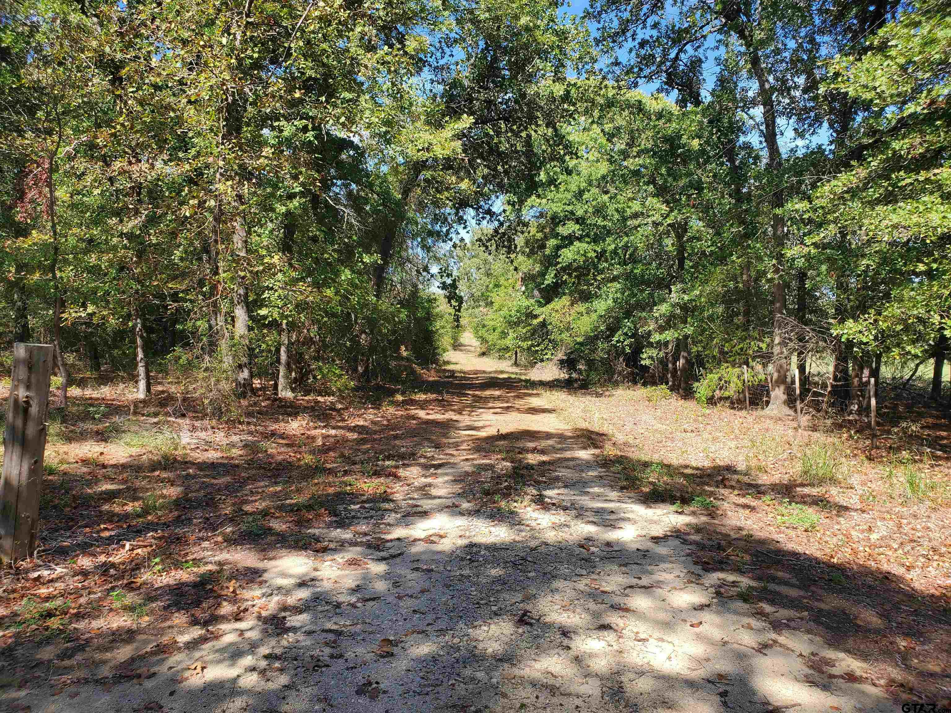 15160 County Road 1227 Property Photo 6