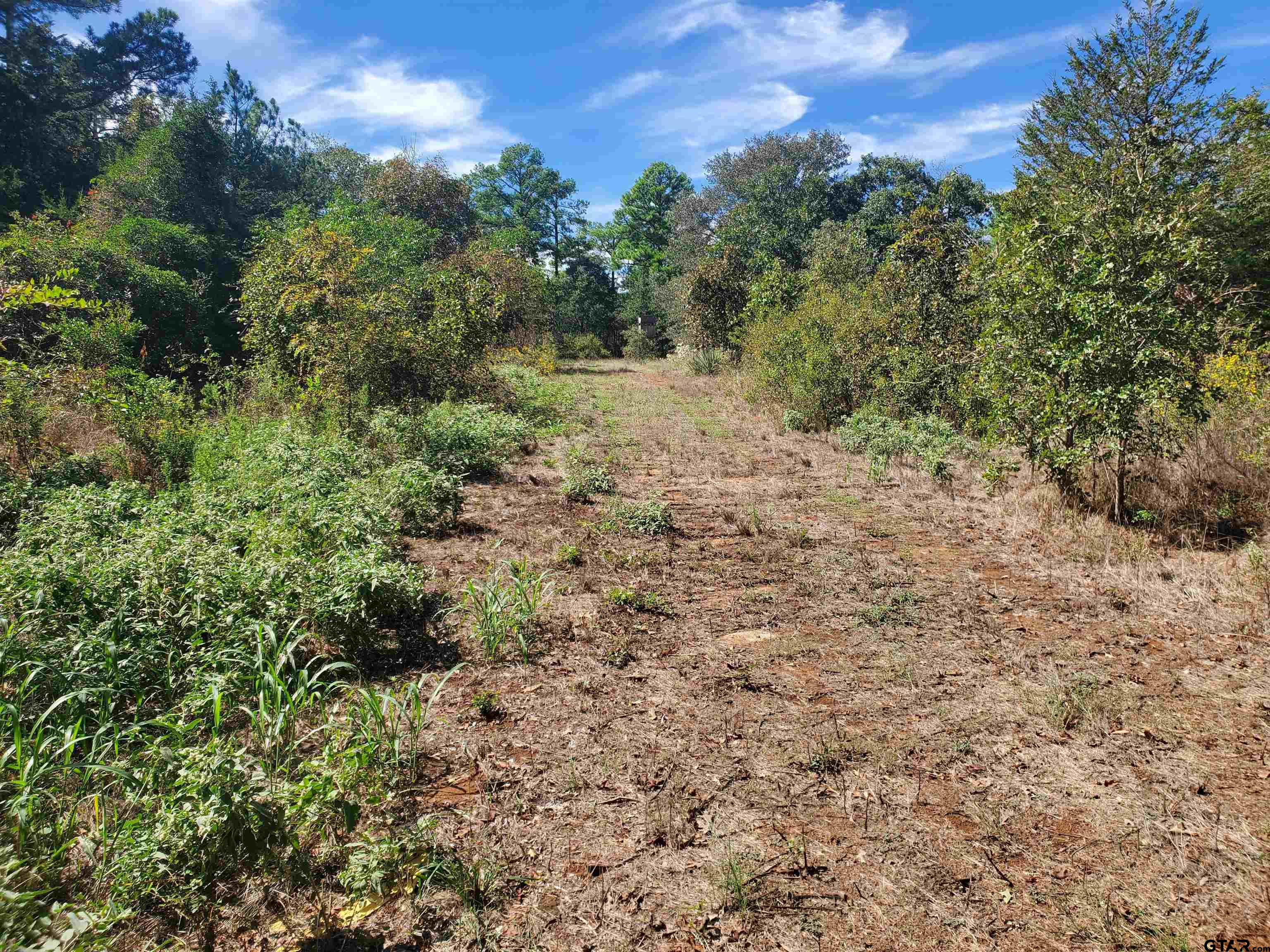 15160 County Road 1227 Property Photo 8