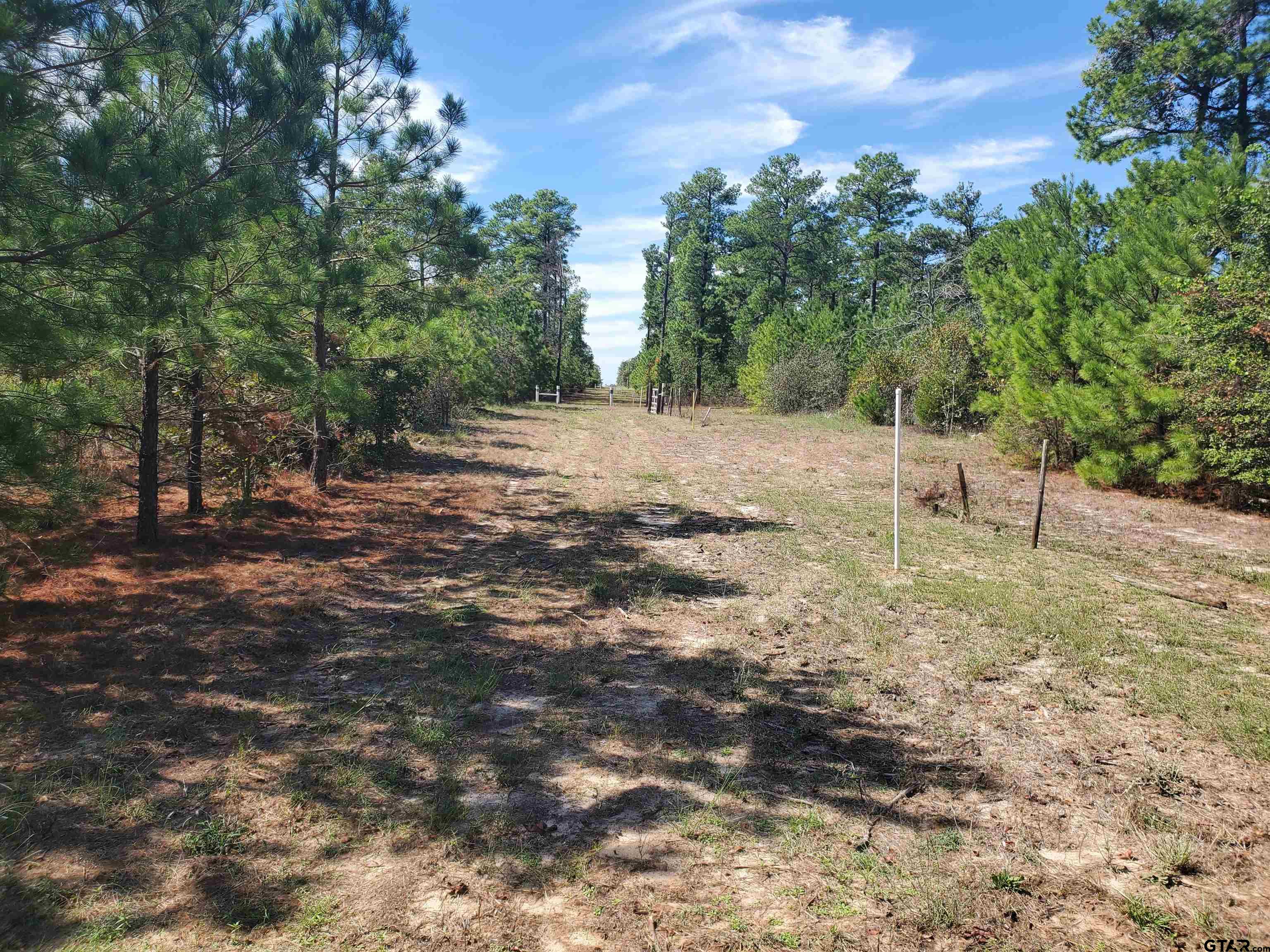 15160 County Road 1227 Property Photo 9