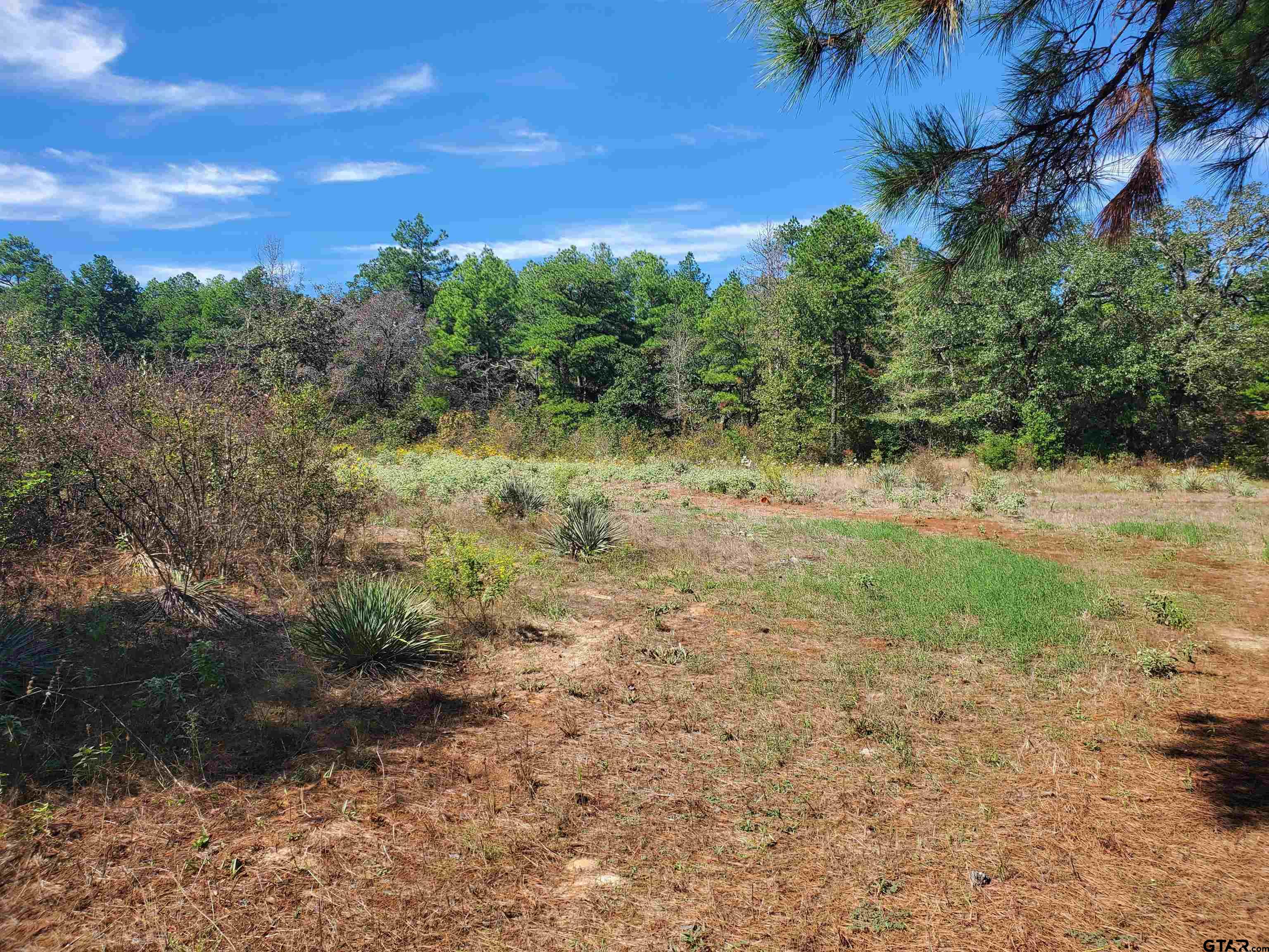 15160 County Road 1227 Property Photo 12